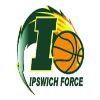 伊普斯维奇部队